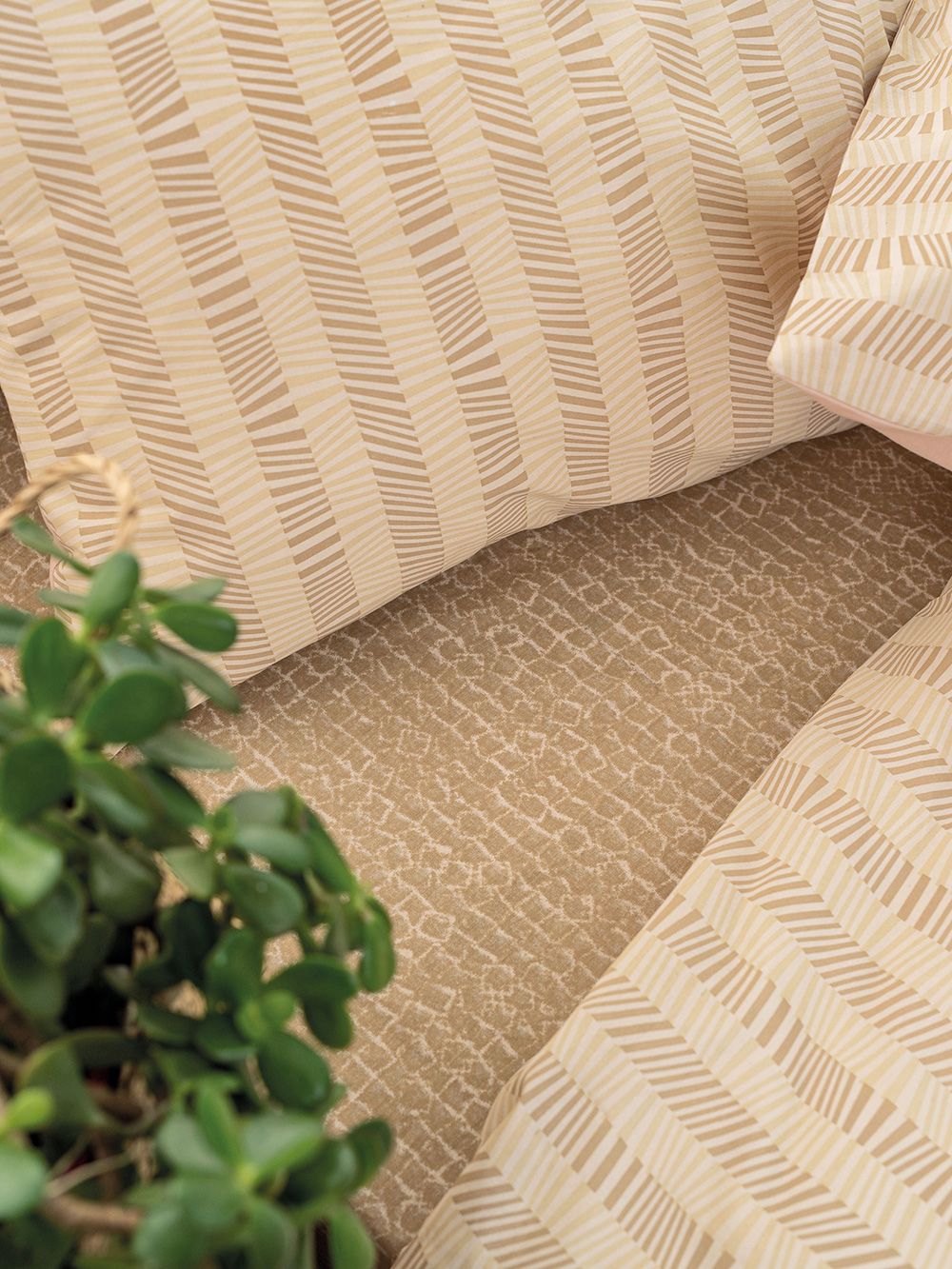 Palamaiki Σετ Ημίδιπλα Σεντόνια Fashion Life 200x260 FL6112 - Image 2